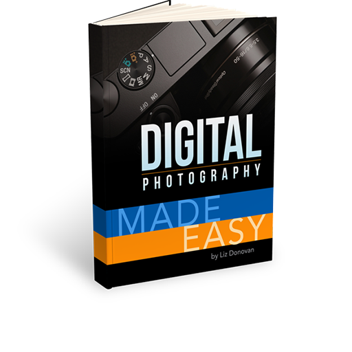 Digital Photography Book